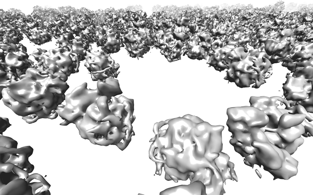 Map particles to tomograms