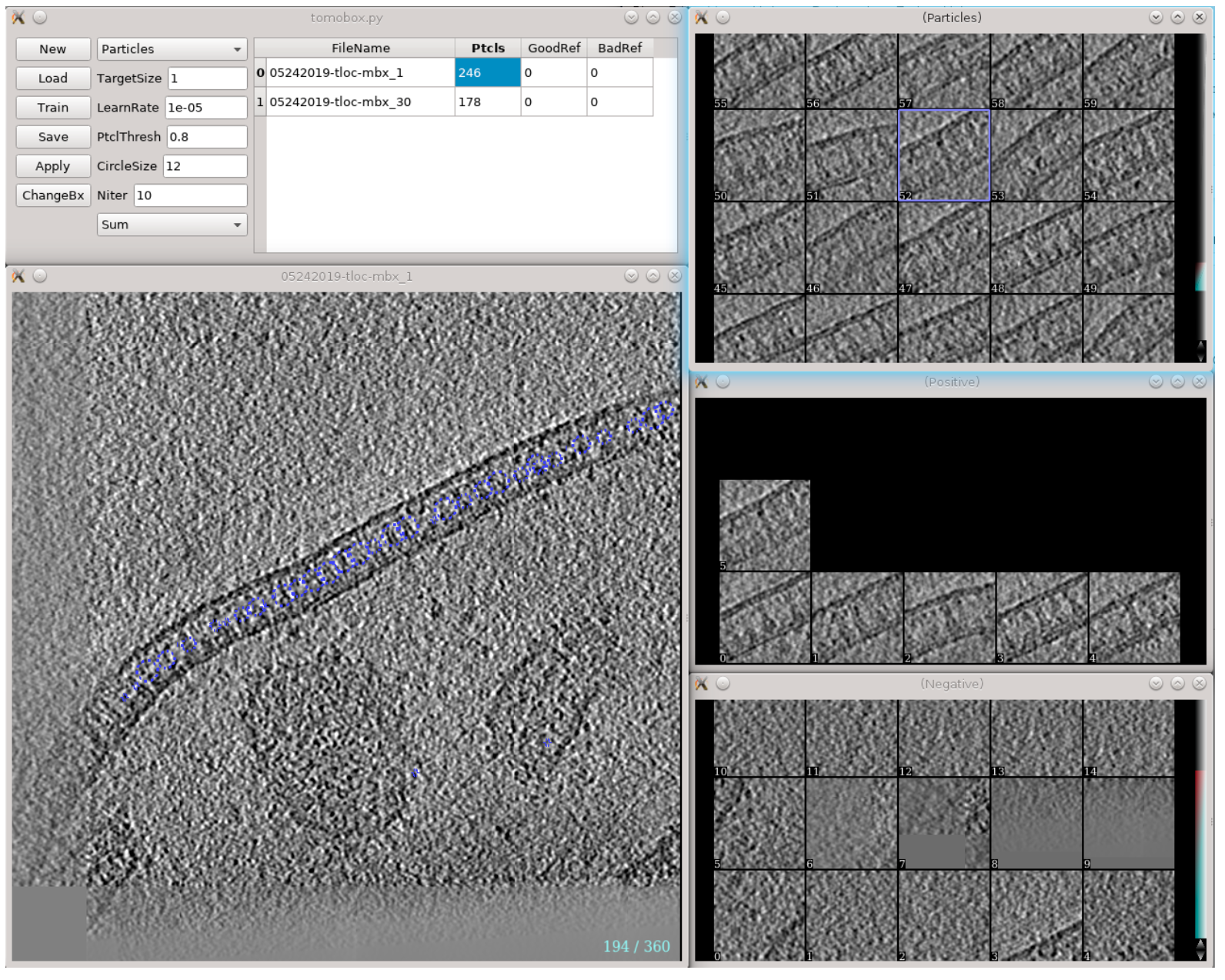 Automated particle selection