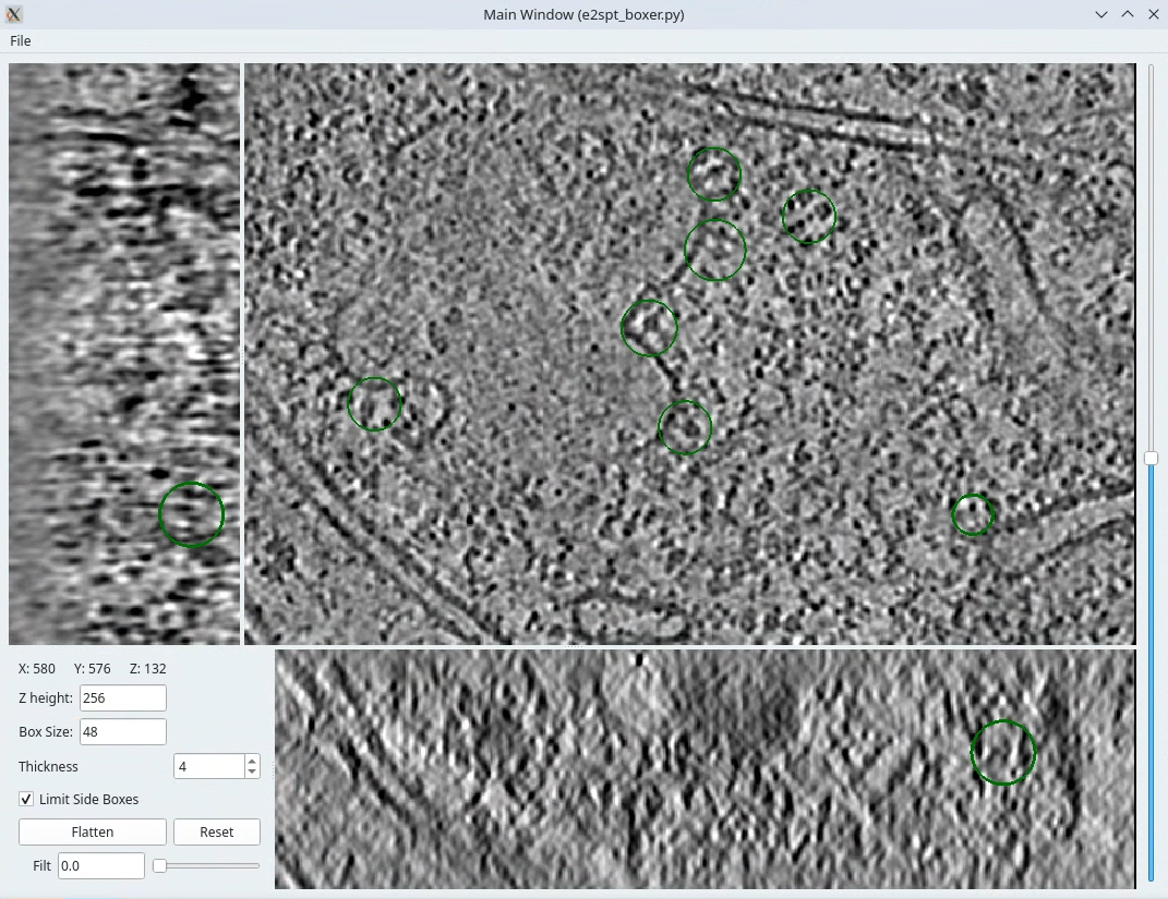 Pick particles |width="600" Pick particles |width="600"