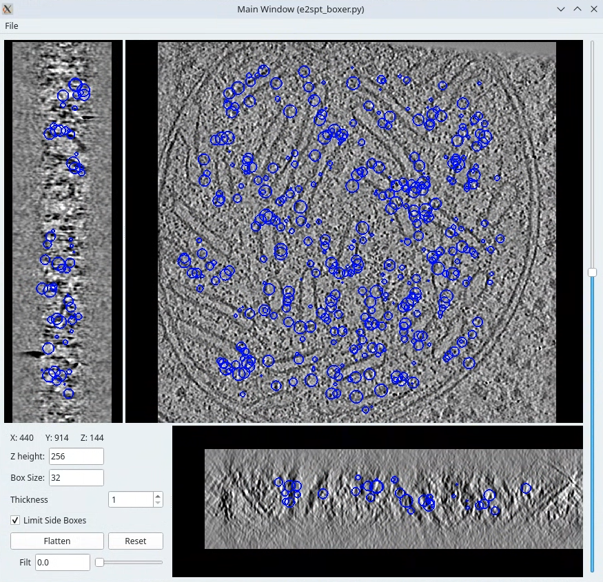 Template based particle picking |width="600" Template based particle picking |width="600"